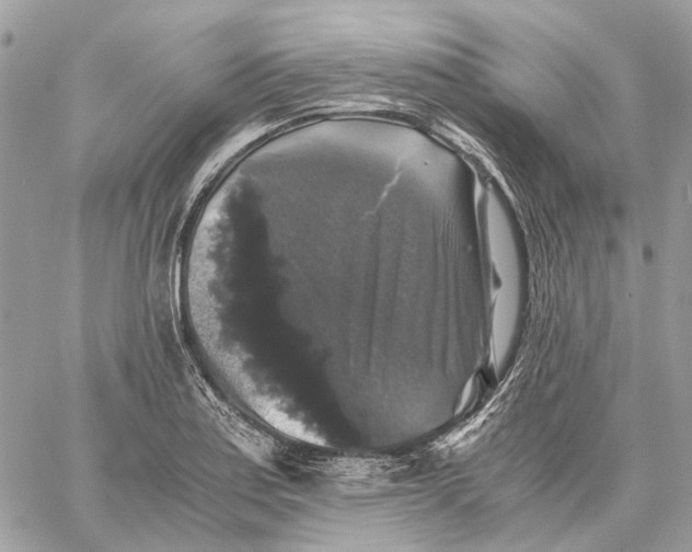 X0000058761179200510211650