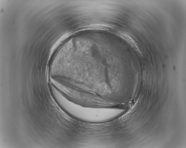 X0000058761180200510211650