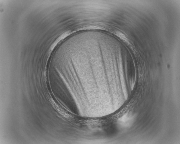 X0000058761181200510211650