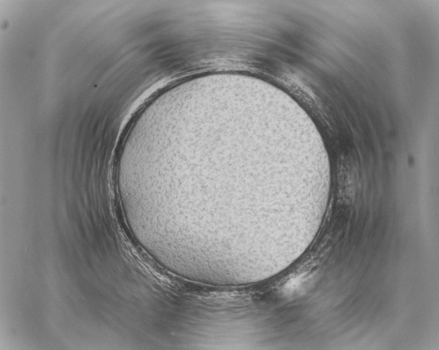 X0000058761182200510211650