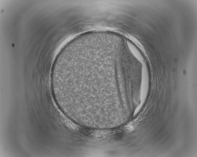 X0000058761183200510211650