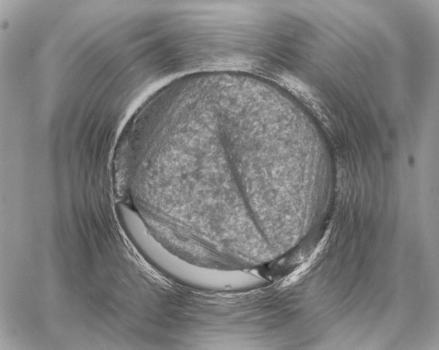 X0000058761184200510211650