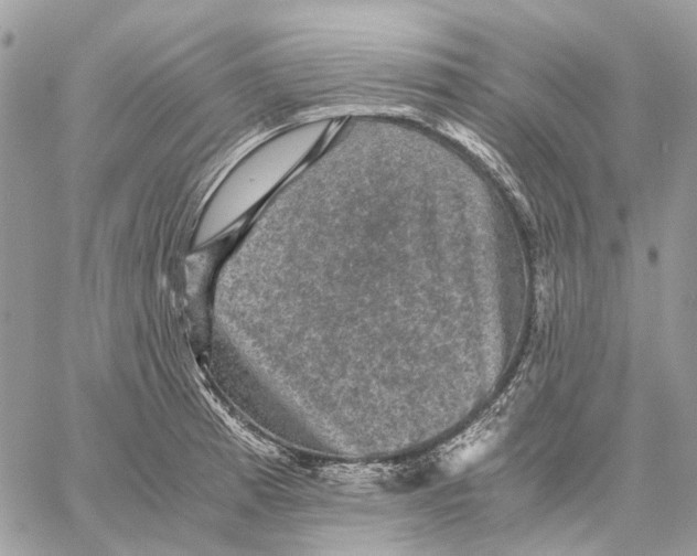 X0000058761185200510211650