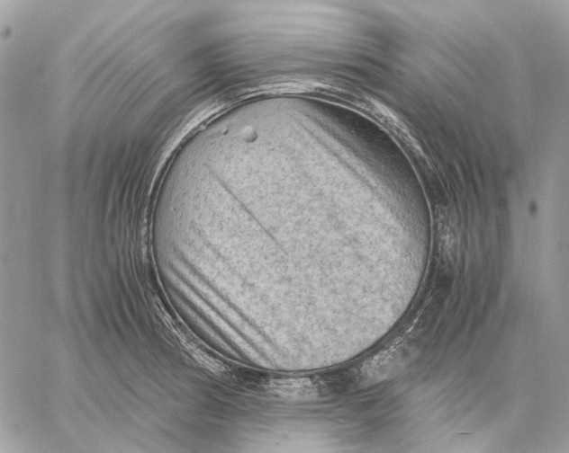 X0000058761186200510211650