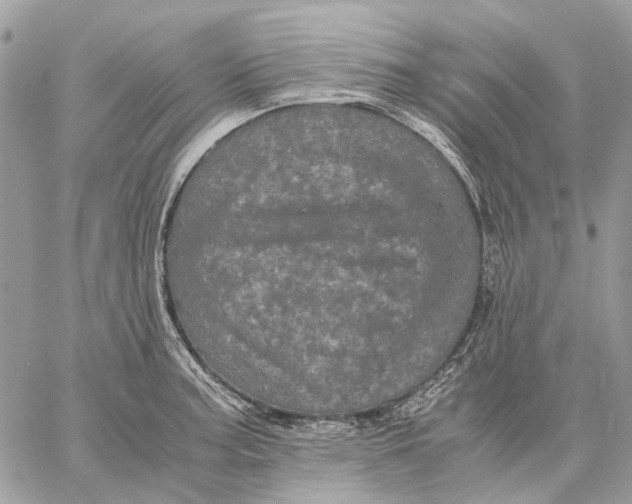 X0000058761187200510211650