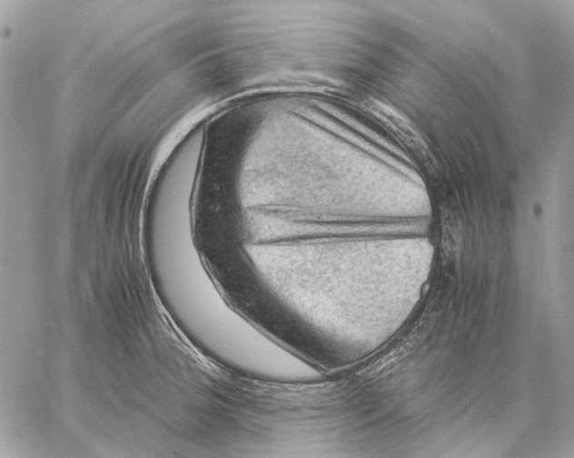 X0000058761188200510211650