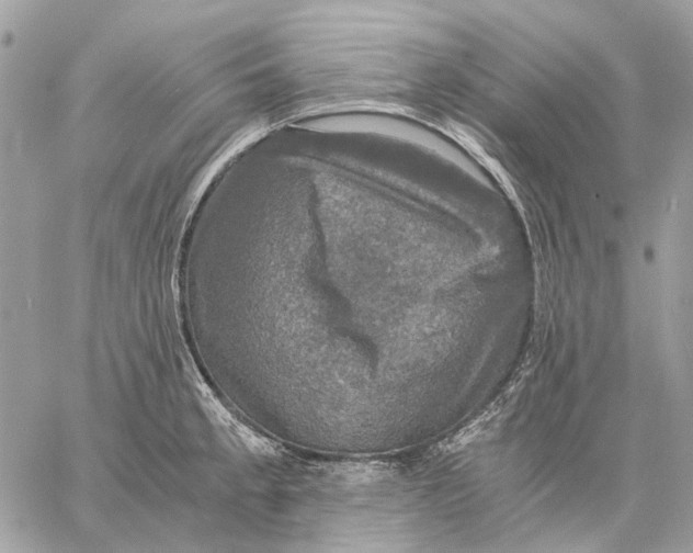 X0000058761189200510211650