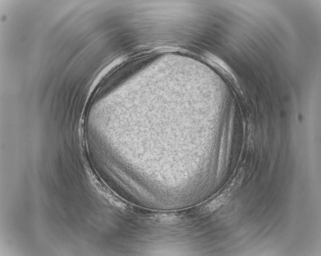 X0000058761190200510211650