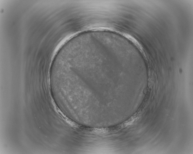 X0000058761191200510211650