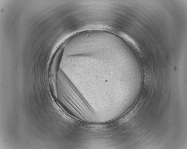 X0000058761192200510211650