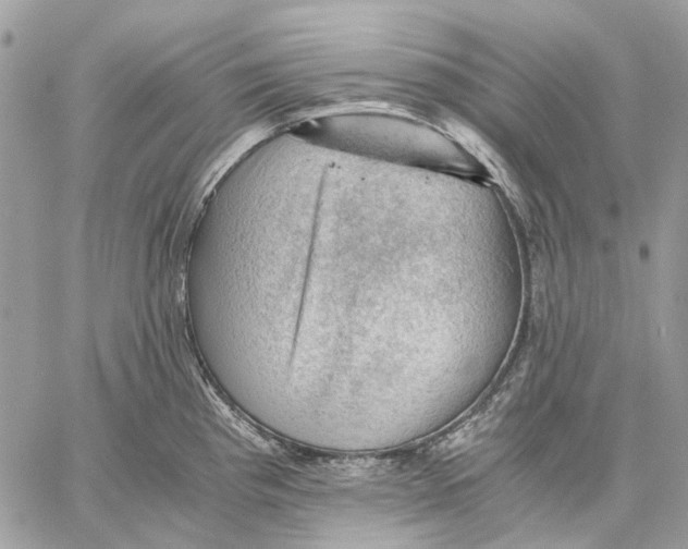 X0000058761193200510211650