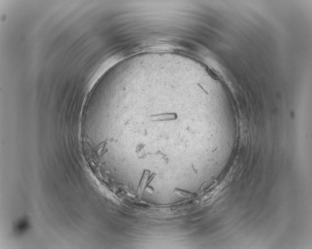 X0000058761194200510211650