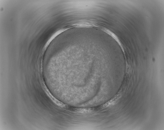 X0000058761195200510211650