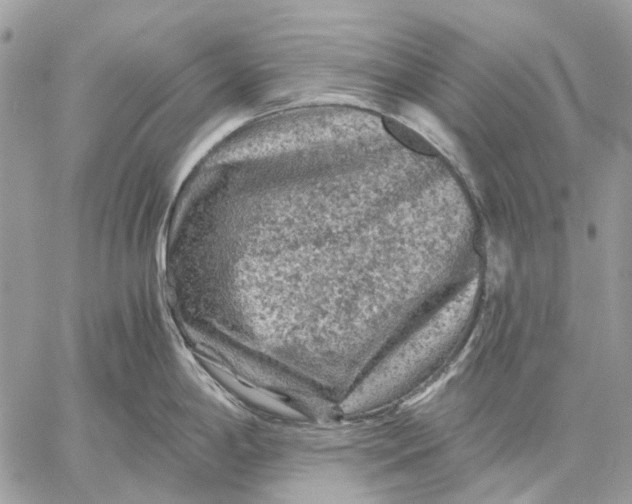 X0000058761198200510211650