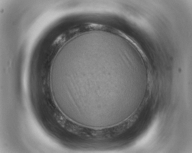 X0000058761199200510211650