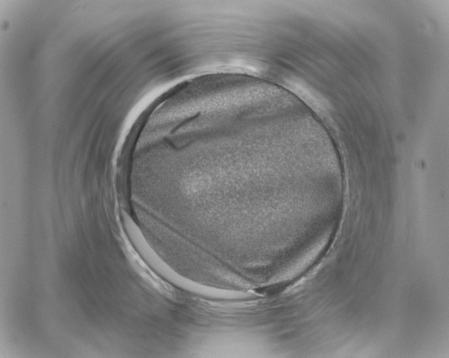 X0000058761200200510211650