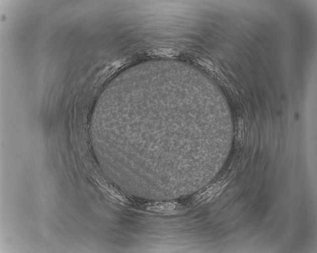 X0000058761201200510211649