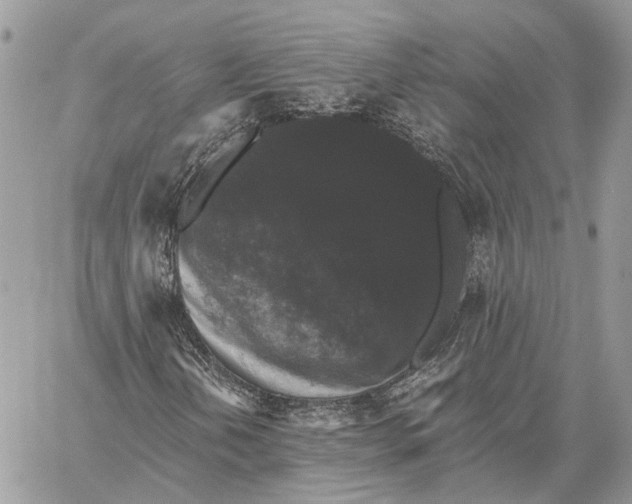 X0000058761202200510211649