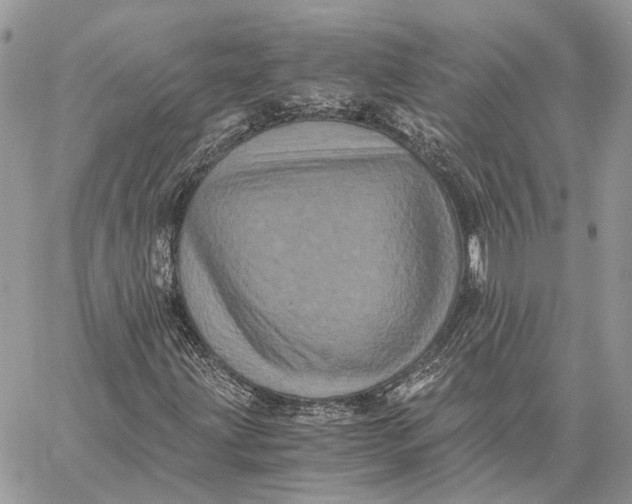 X0000058761203200510211649