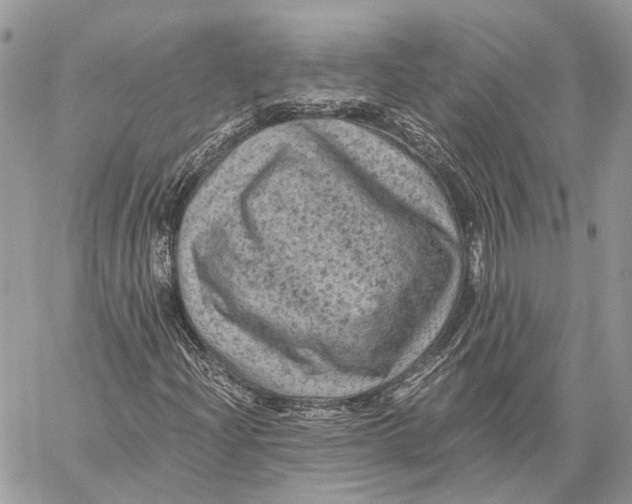 X0000058761204200510211649