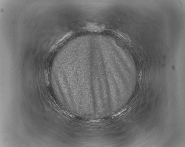 X0000058761205200510211649