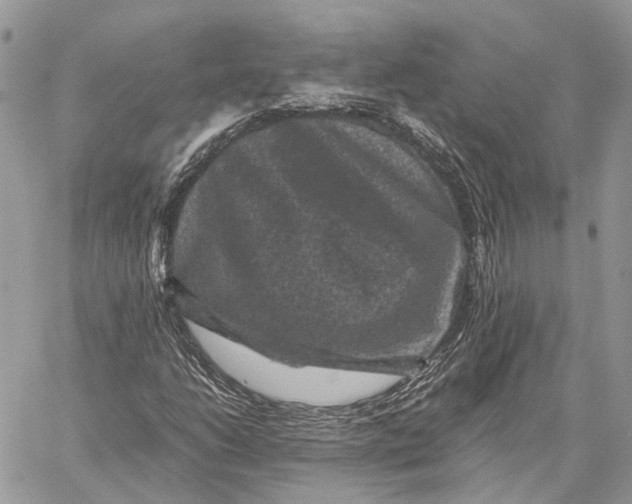 X0000058761206200510211649