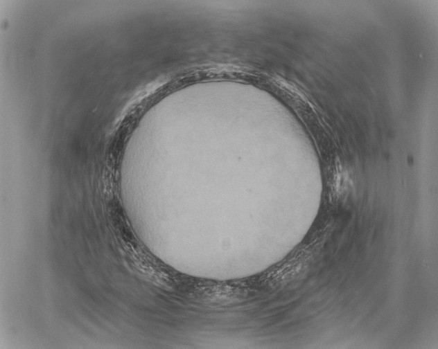 X0000058761207200510211649