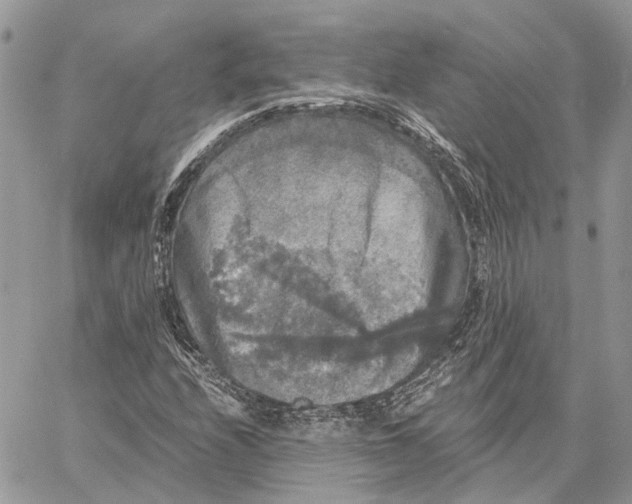 X0000058761208200510211649