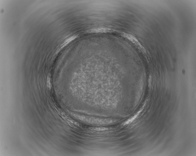 X0000058761209200510211649