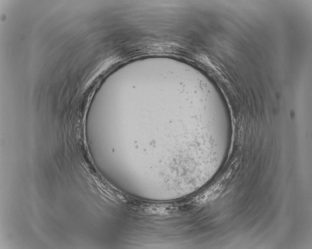 X0000058761211200510211649