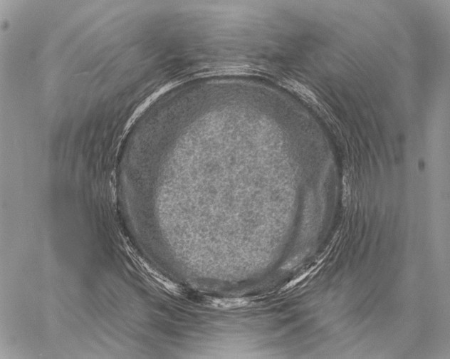 X0000058761212200510211649