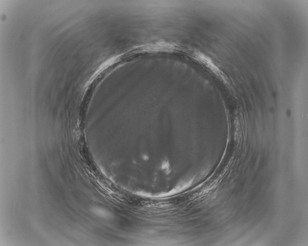 X0000058761213200510211649