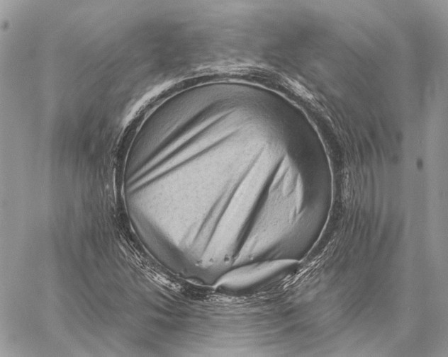 X0000058761214200510211649