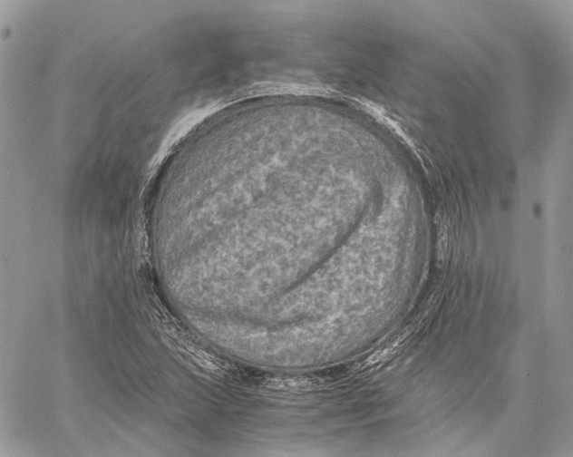 X0000058761215200510211649