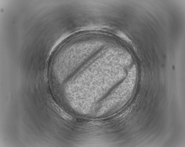 X0000058761216200510211649