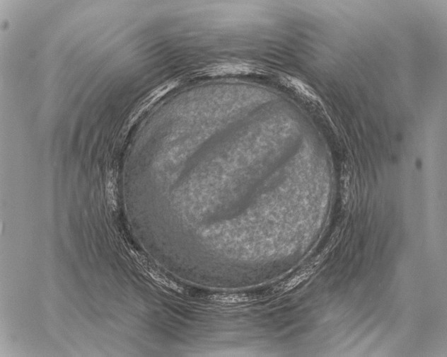 X0000058761217200510211649