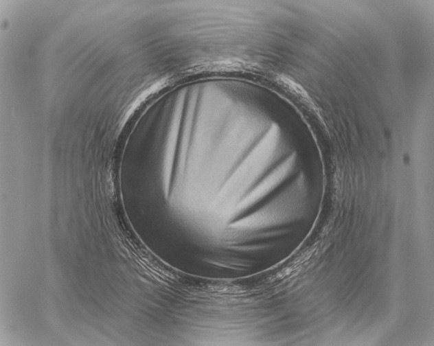 X0000058761218200510211649