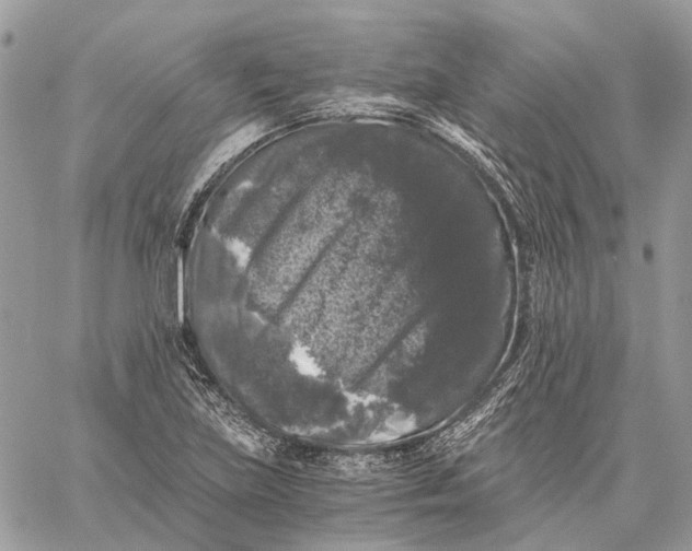 X0000058761219200510211649