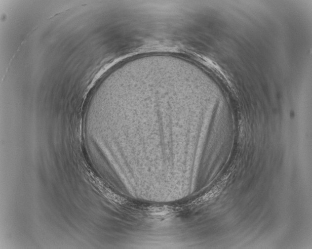 X0000058761220200510211649