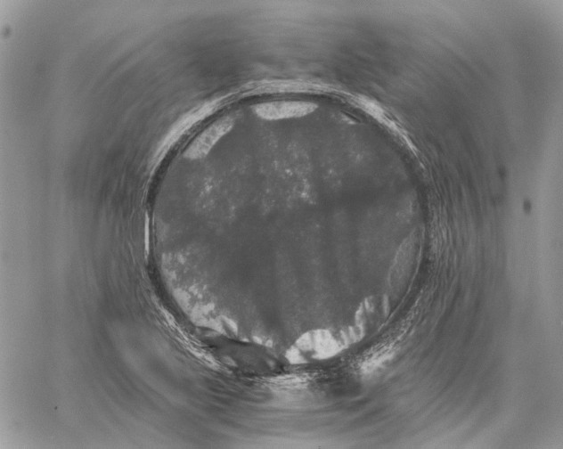 X0000058761221200510211649