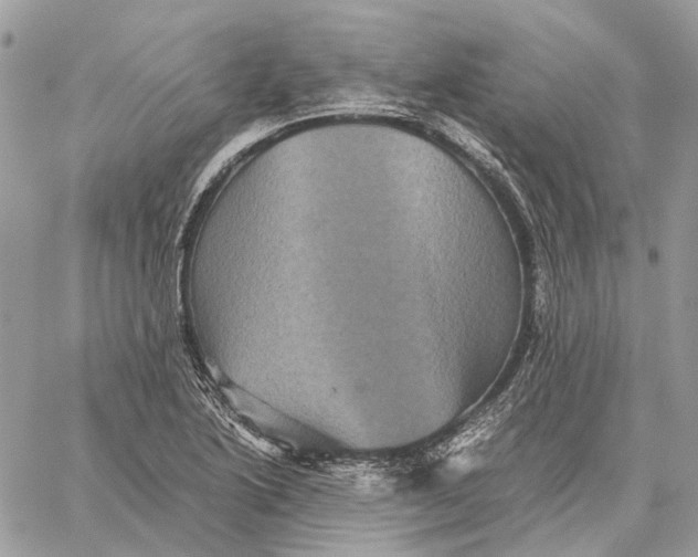 X0000058761222200510211649