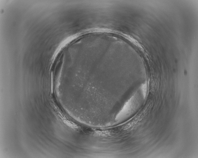 X0000058761223200510211649