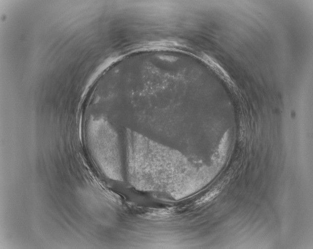 X0000058761224200510211649