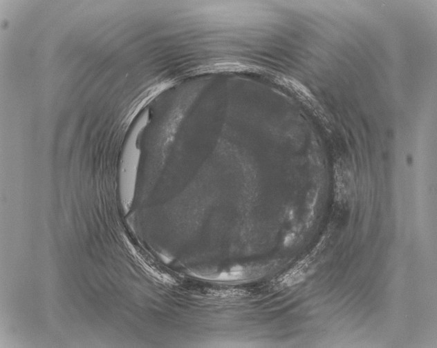 X0000058761225200510211649