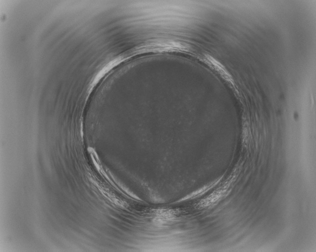 X0000058761226200510211649