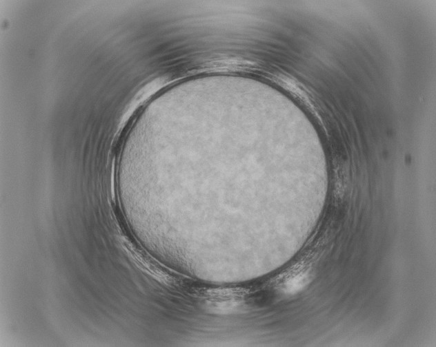 X0000058761227200510211649