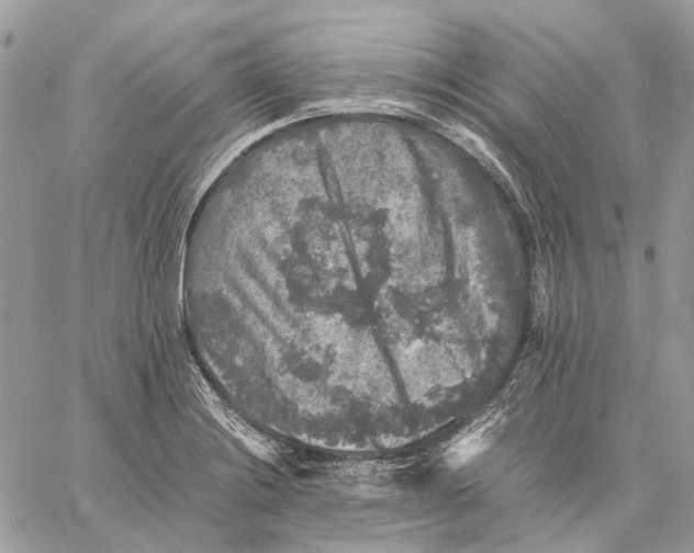 X0000058761228200510211649