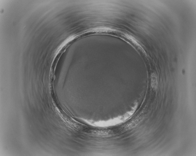 X0000058761229200510211649