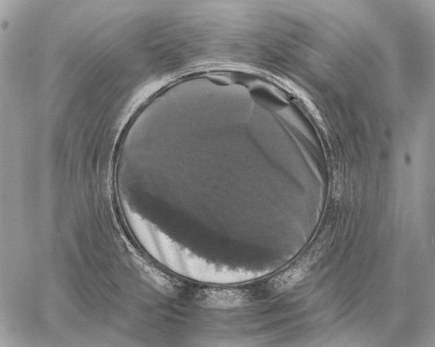 X0000058761231200510211649