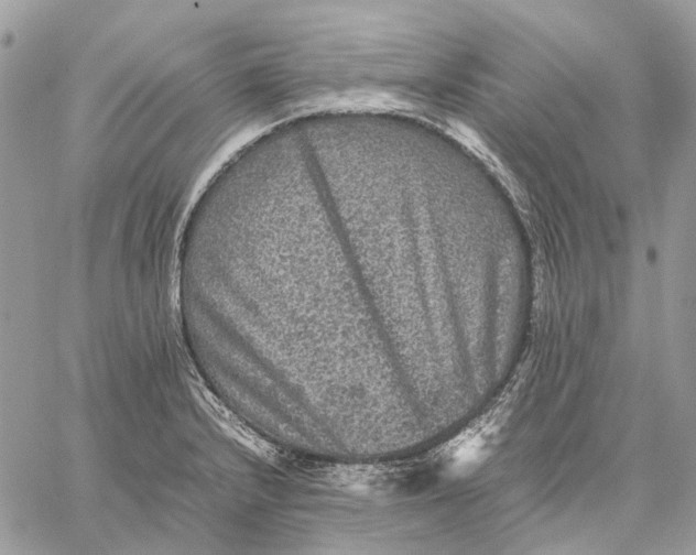 X0000058761232200510211649